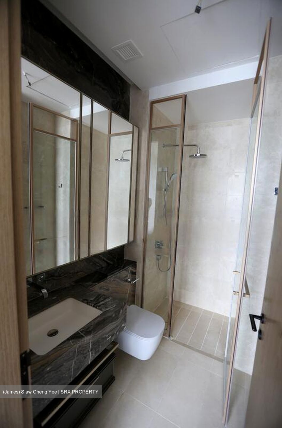 The Avenir (D9), Condominium #458746451
